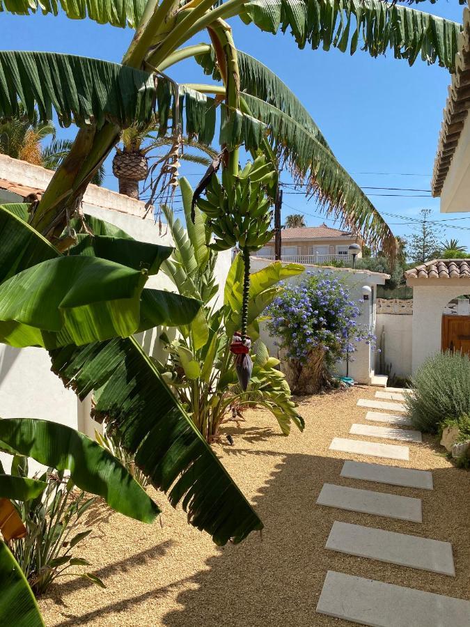 Beach Apartment, Playa Muchavista 900M, Chalet Tranquilo, Villa Acuario San Juan  Exterior photo